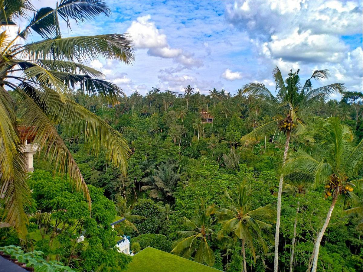 Made Punia'S Jungle Apartment Ubud  Exterior photo